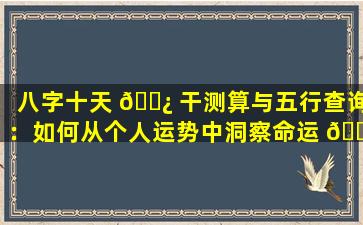 八字十天 🌿 干测算与五行查询：如何从个人运势中洞察命运 🐛 轨迹